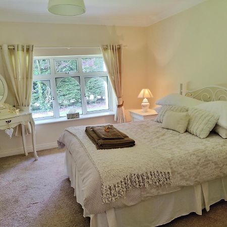 Rooms At Ballysax House The Curragh Exteriör bild